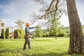 Best Tree Risk Assessment  in St Hedwig, TX